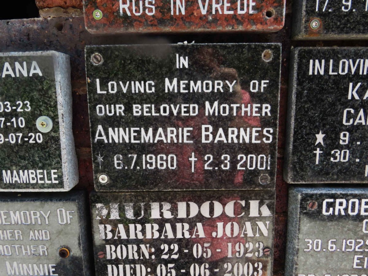 BARNES Annemarie 1960-2001