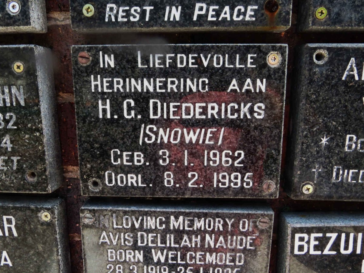 DIEDERICKS H.G. 1962-1995