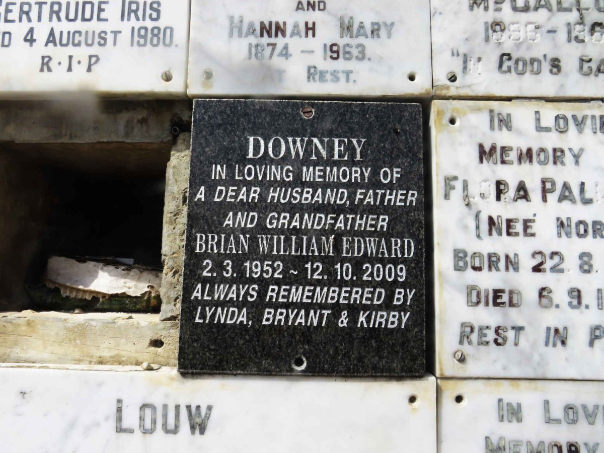 DOWNEY Brian William Edward 1952-2009