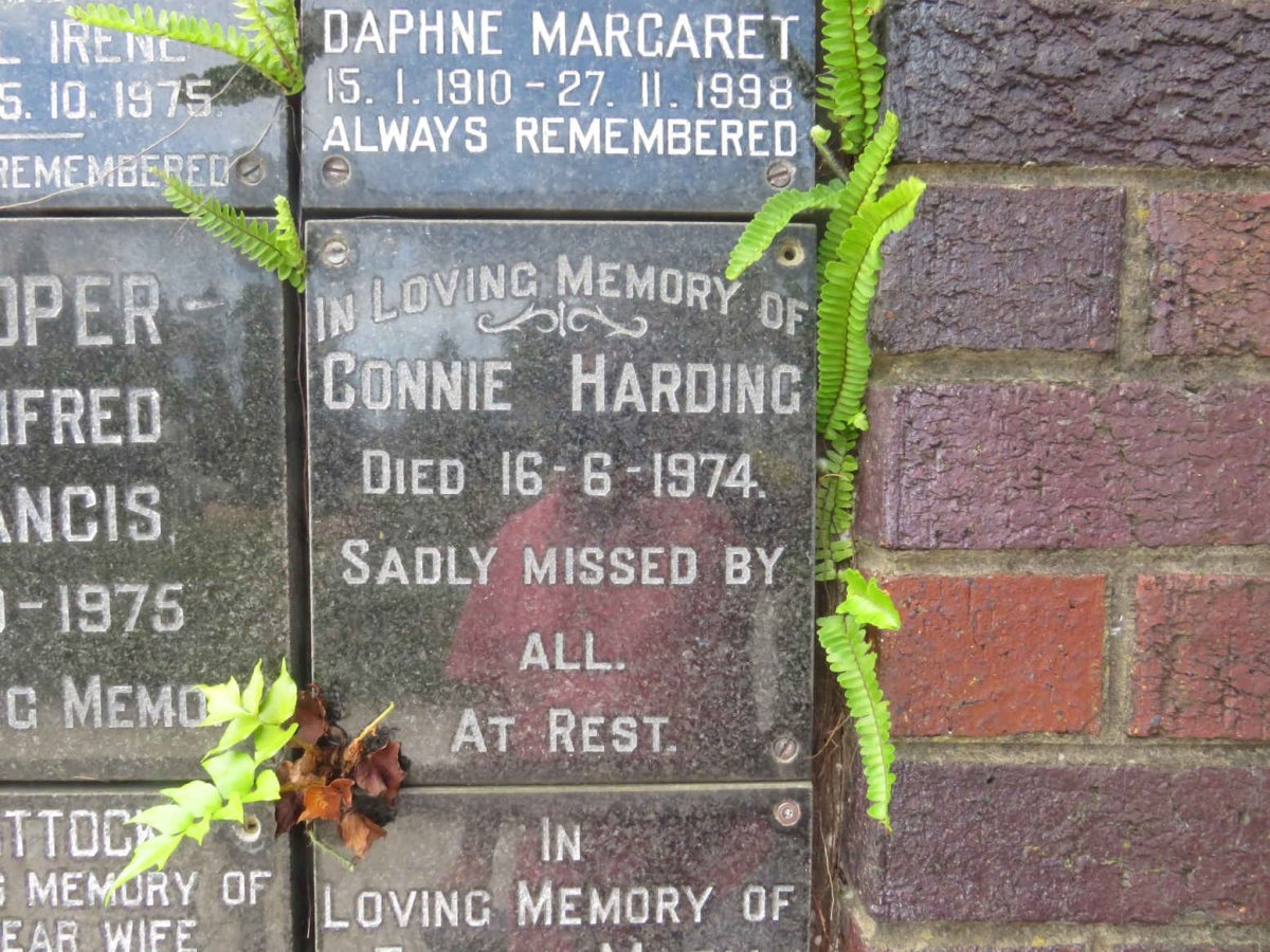 HARDING Connie -1974