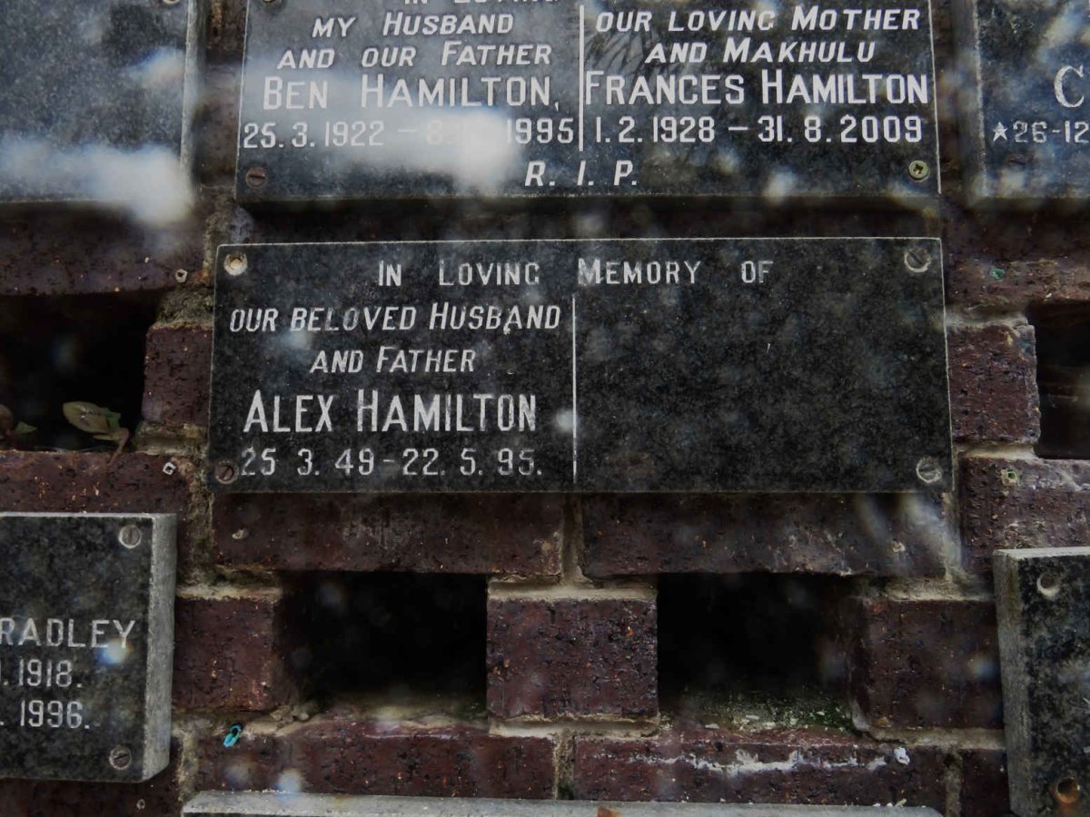 HAMILTON Alex 1949-1995