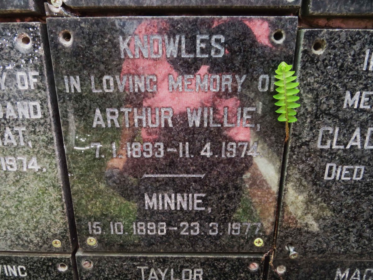 KNOWLES Arthur Willie 1893-1974 &amp; Minnie 1898-1977