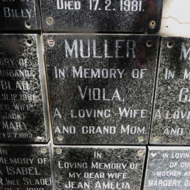 MULLER Viola