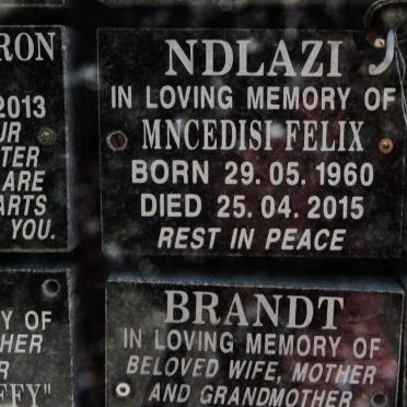 NDLAZI Mncedisi Felix 1960-2015