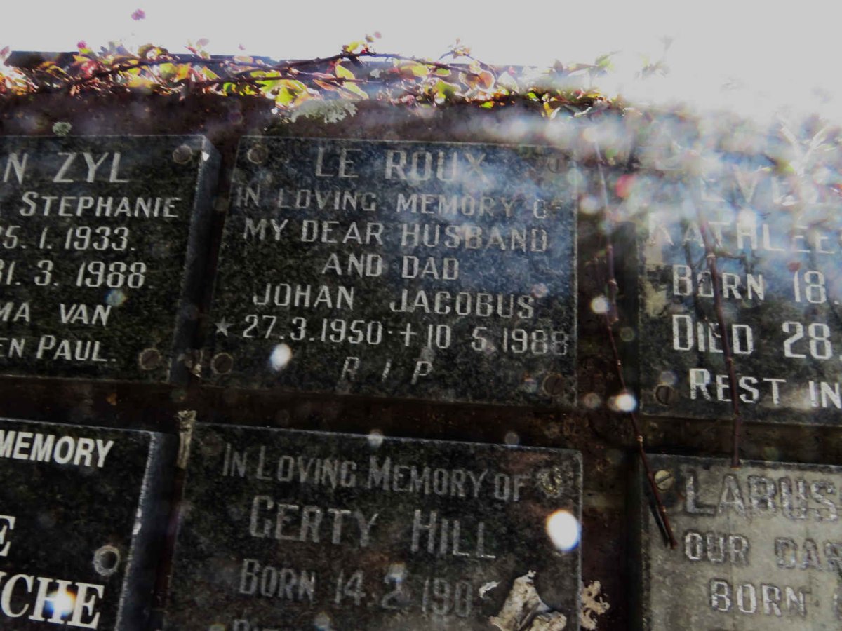 ROUX Johan Jacobus, le 1950-1988