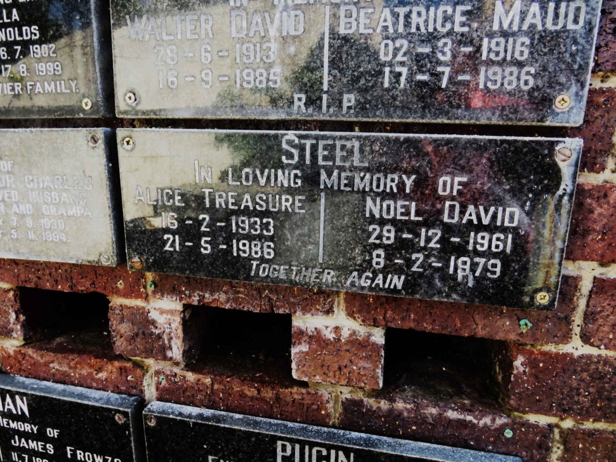 STEEL Noel David 1961-1979 :: STEEL Alice Treasure 1933-1986