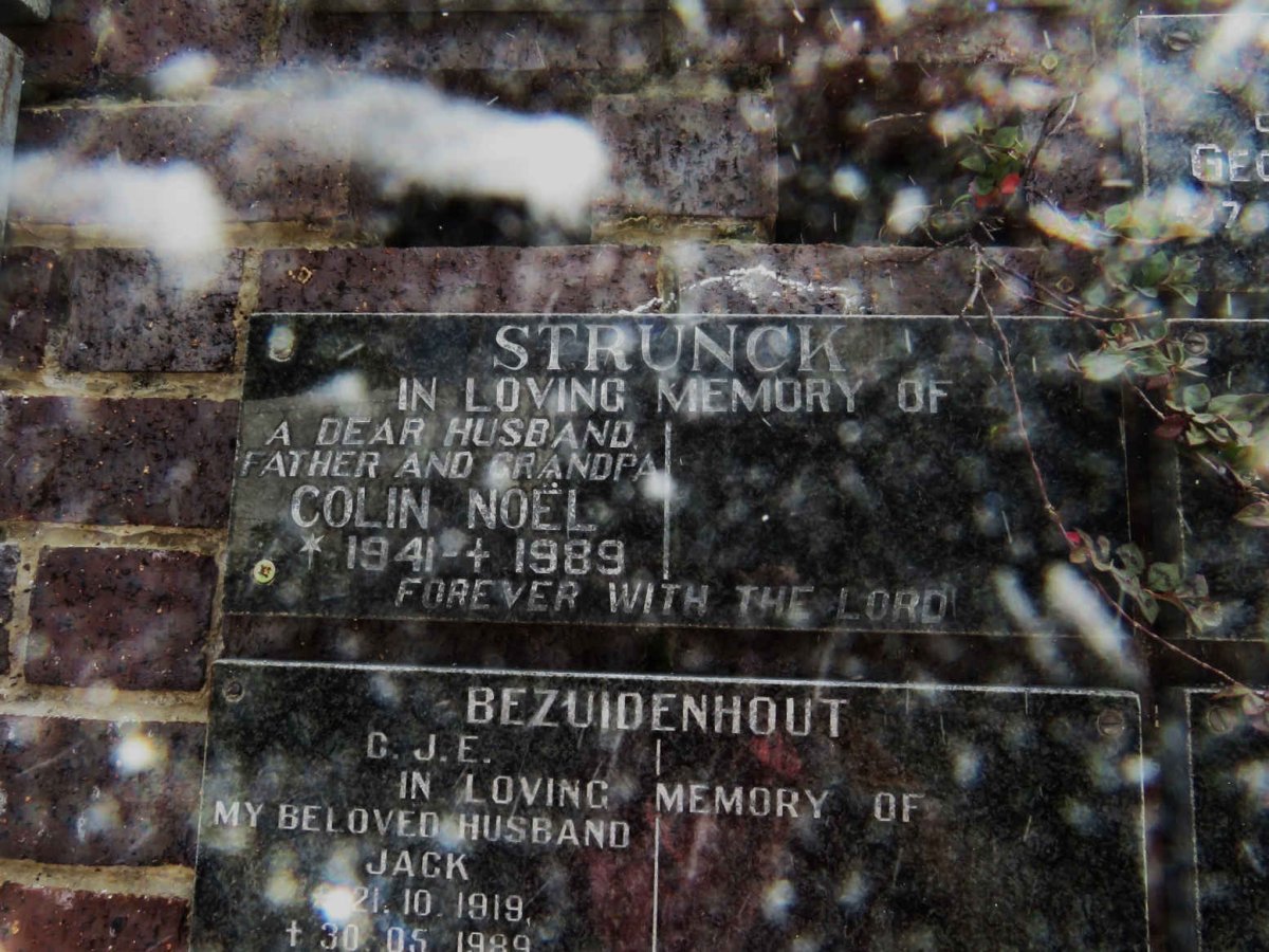 STRUNCK Colin Noel 1941-1989
