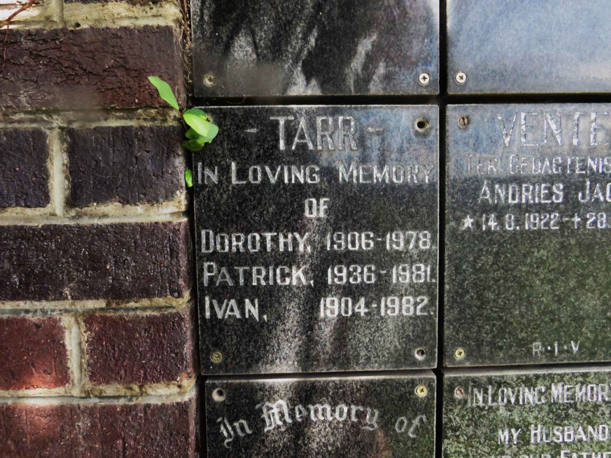 TARR Ivan 1904-1982 &amp; Dorothy 1906-1978 :: TARR Patrick 1936-1981
