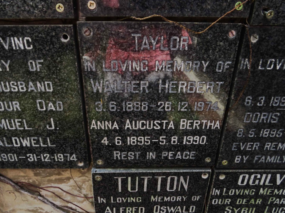 TAYLOR Walter Herbert 1888-1974 &amp; Anna Augusta Bertha 1895-1990