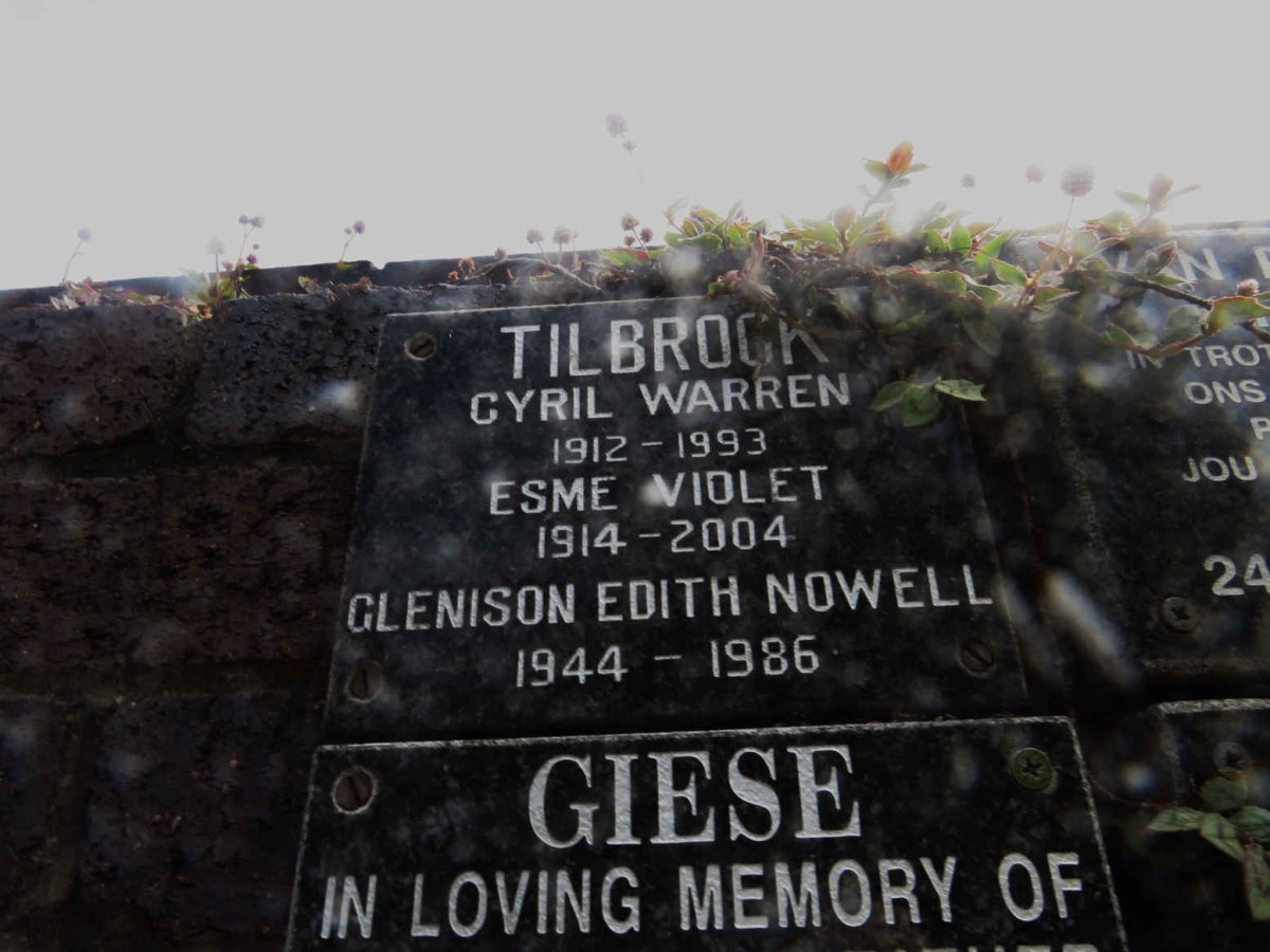 TILBROCK Cyril Warren 1912-1993 &amp; Esme Violet 1914-2004 :: TILBROCK Glenison Edith Nowell 1944-1986
