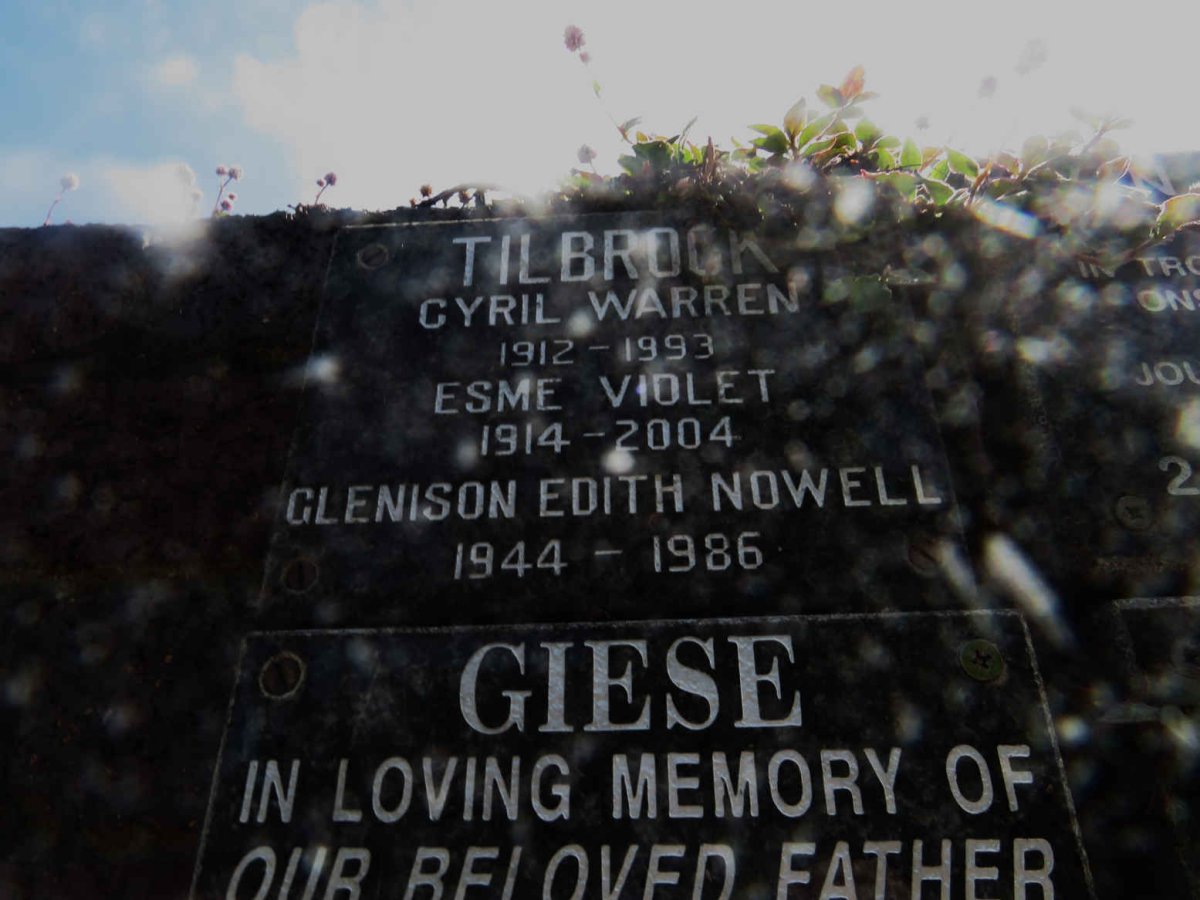 TILBROCK Cyril Warren 1912-1993 &amp; Esme Violet 1914-2004 :: TILBROCK Glenison Edith Nowell 1944-1986