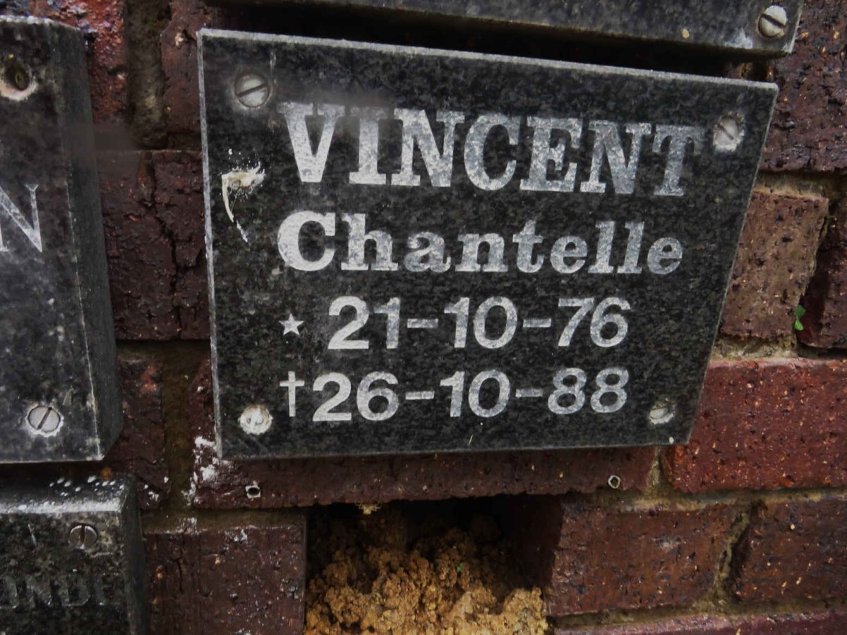 VINCENT Chantelle 1976-1988