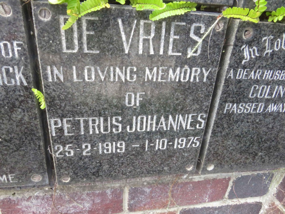 VRIES Petrus Johannes, de 1919-1975