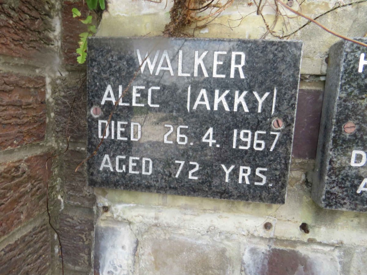 WALKER Alec -1967
