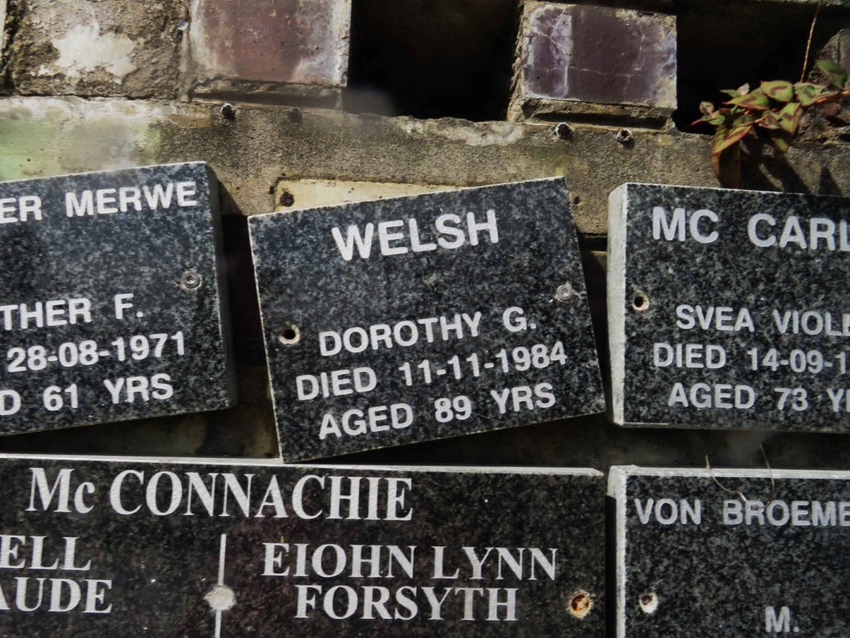 WELSH Dorothy G. -1984