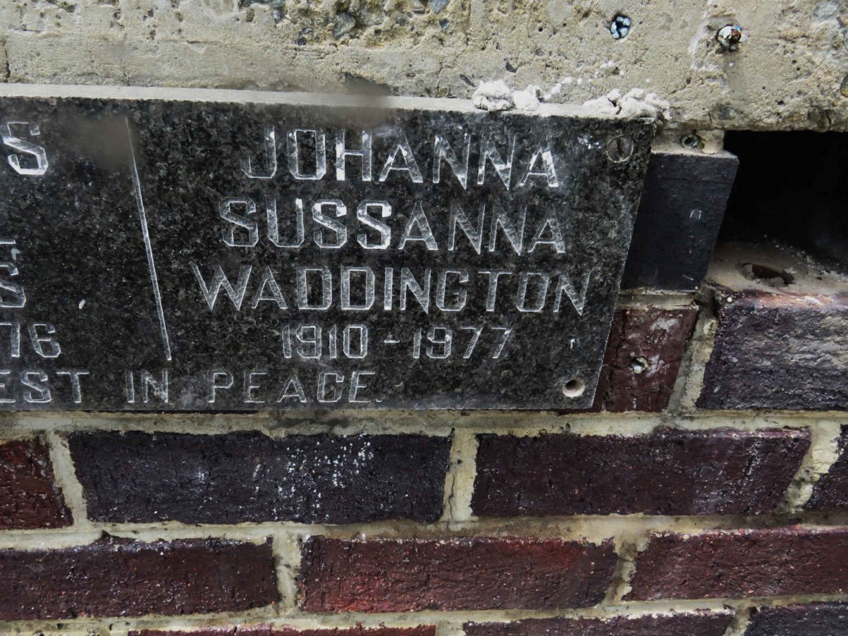 WADDINGTON Johanna Sussanna 1910-1977