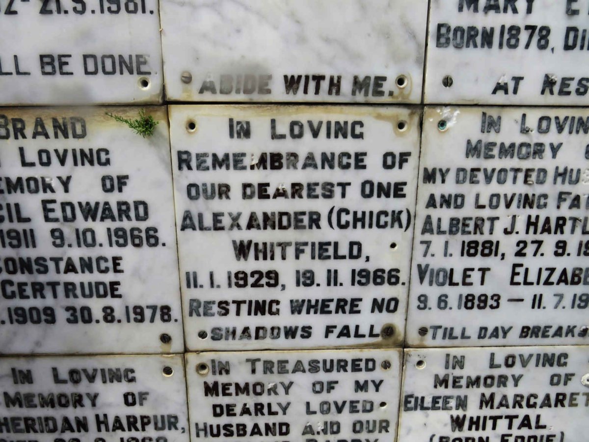 WHITFIELD Alexander 1929-1966