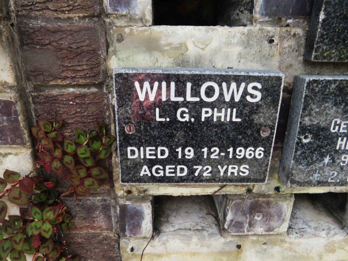 WILLOWS L.G. Phil -1966