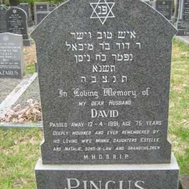 P - Vanne :: Surnames - P