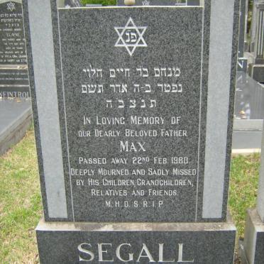 SEGALL Max -1980