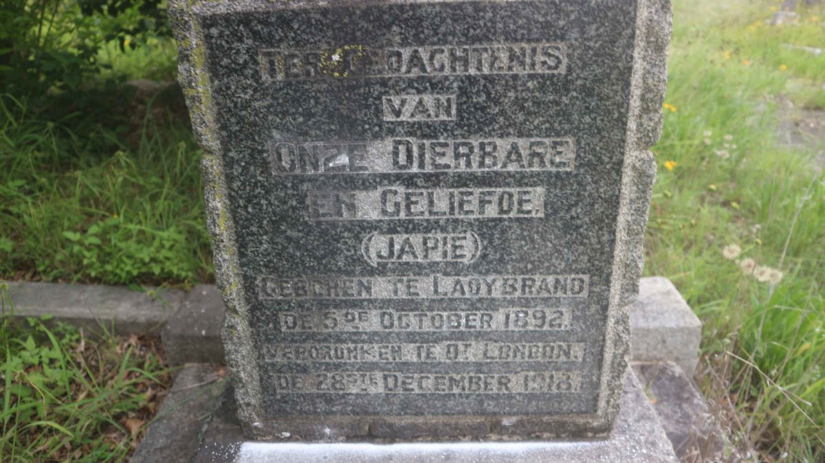 ? Japie 1892-1918