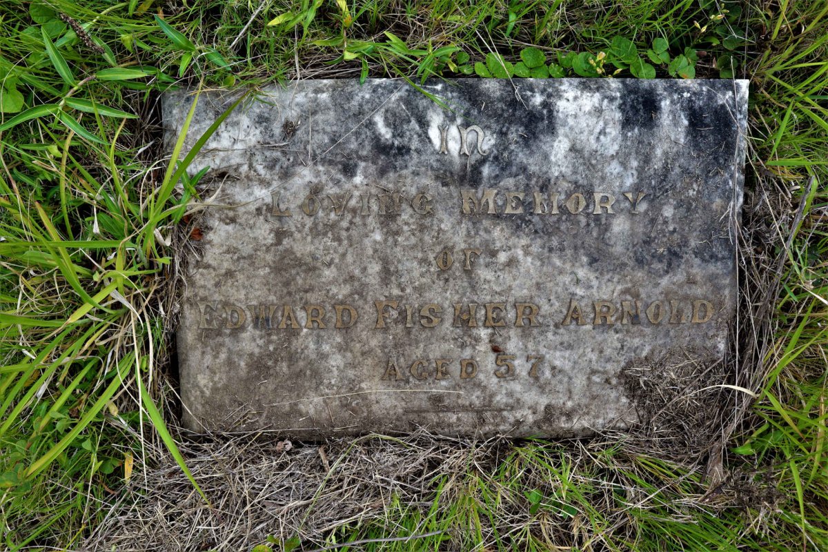 ARNOLD Edward Fisher 