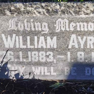 AYRES William 1883-1951