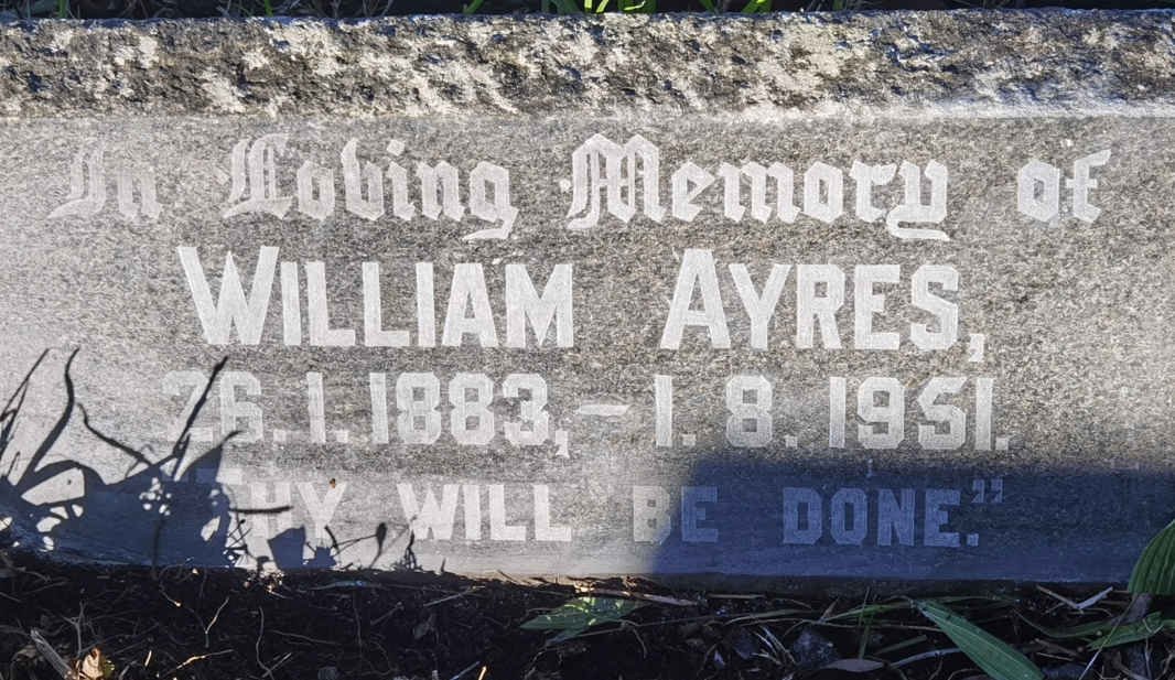 AYRES William 1883-1951