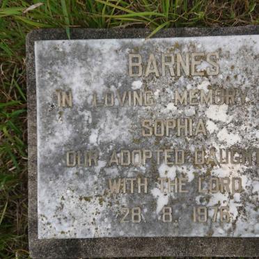 B - Vanne :: Surnames - B