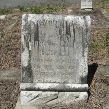 BUCKLEY Joseph Coles 1906-1937