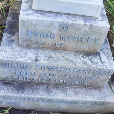 BARTOSCH Julius Edward 1904-1905
