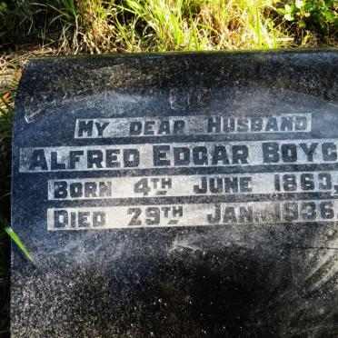 BOYCE Alfred Edgar 1863-1936