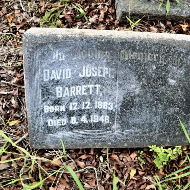 BARRETT David Joseph 1883-1946