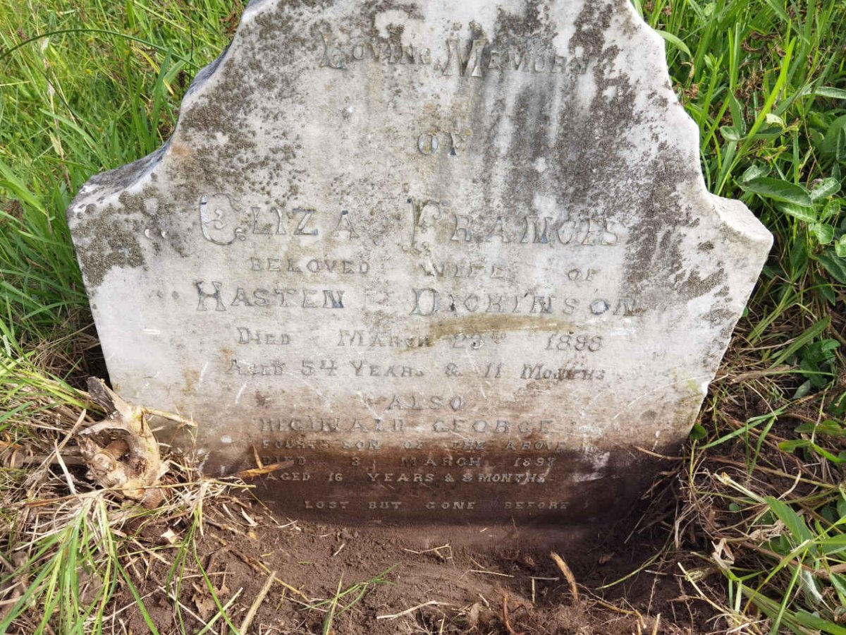 DICKINSON Eliza Frances -1898 :: DICKINSON Reginald George -1898