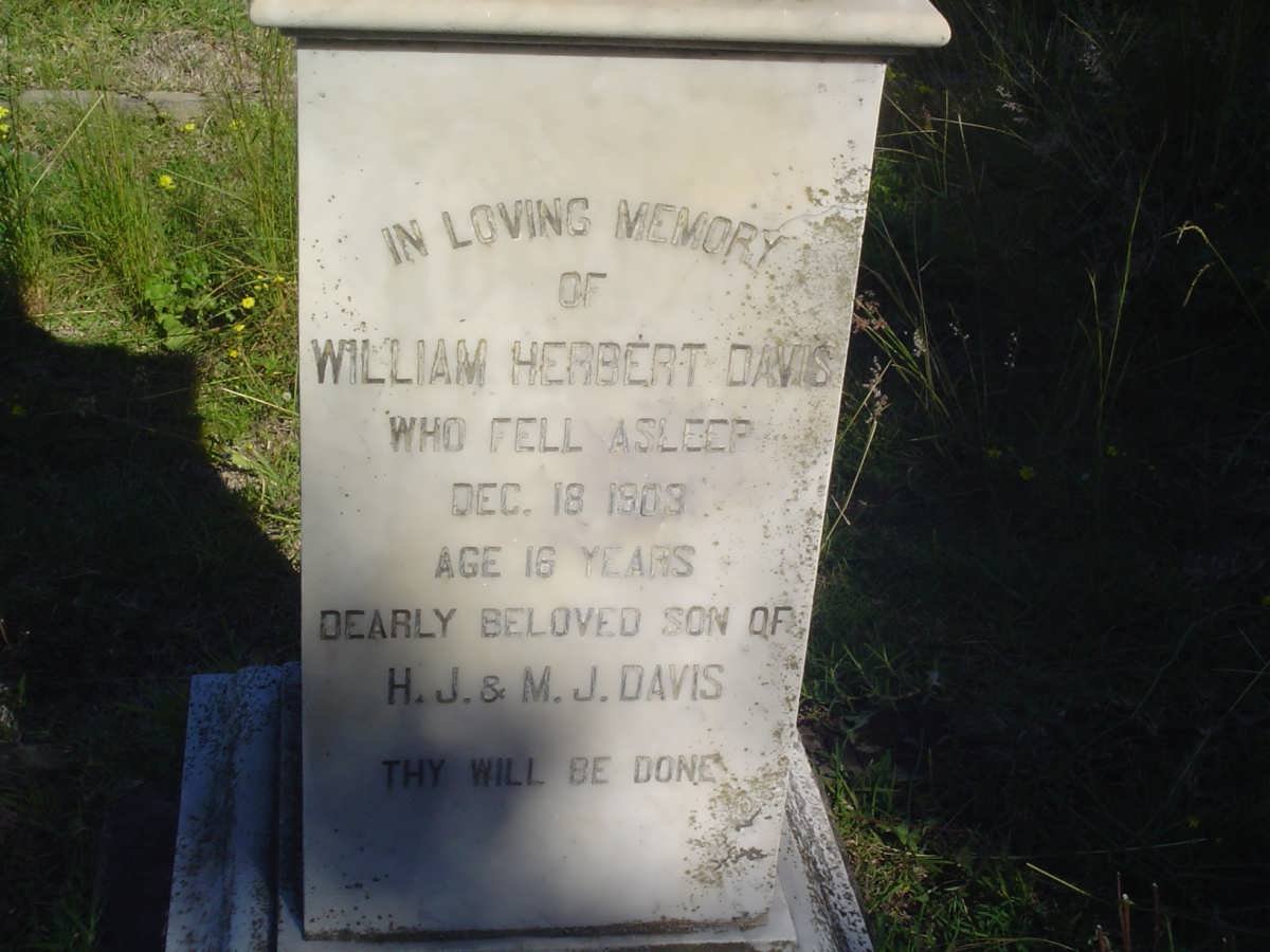DAVIS William Herbert -1909