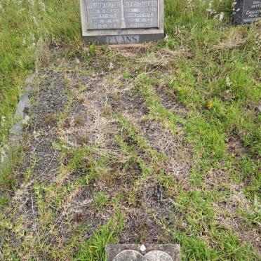 EVANS William Telford 1875-1934 &amp; Matilda Charlotte HAVERNICK 1872-1959 :: MEIRING