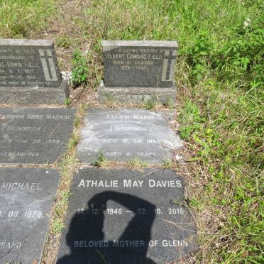 FIELD Albert Edward 1870-1949 :: FIELD Ellen Maria nee O'CONNOR -1959 :: DAVIES Athalie May 1946-2015