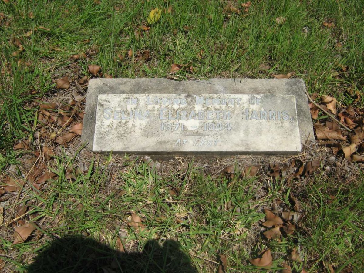 HARRIS Selina Elizabeth 1871-1944
