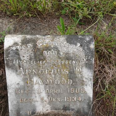 HAYWOOD Arnoldus P. 1909-1934
