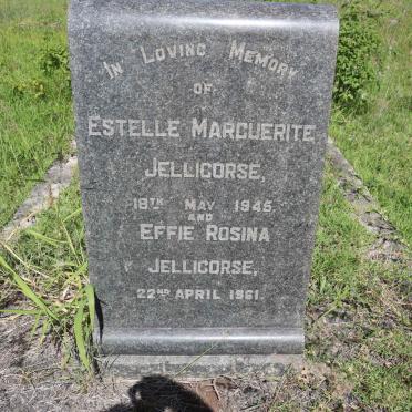 JELLICORSE Estelle Marguerite -1945 :: JELLICORSE Effie Rosina -1961
