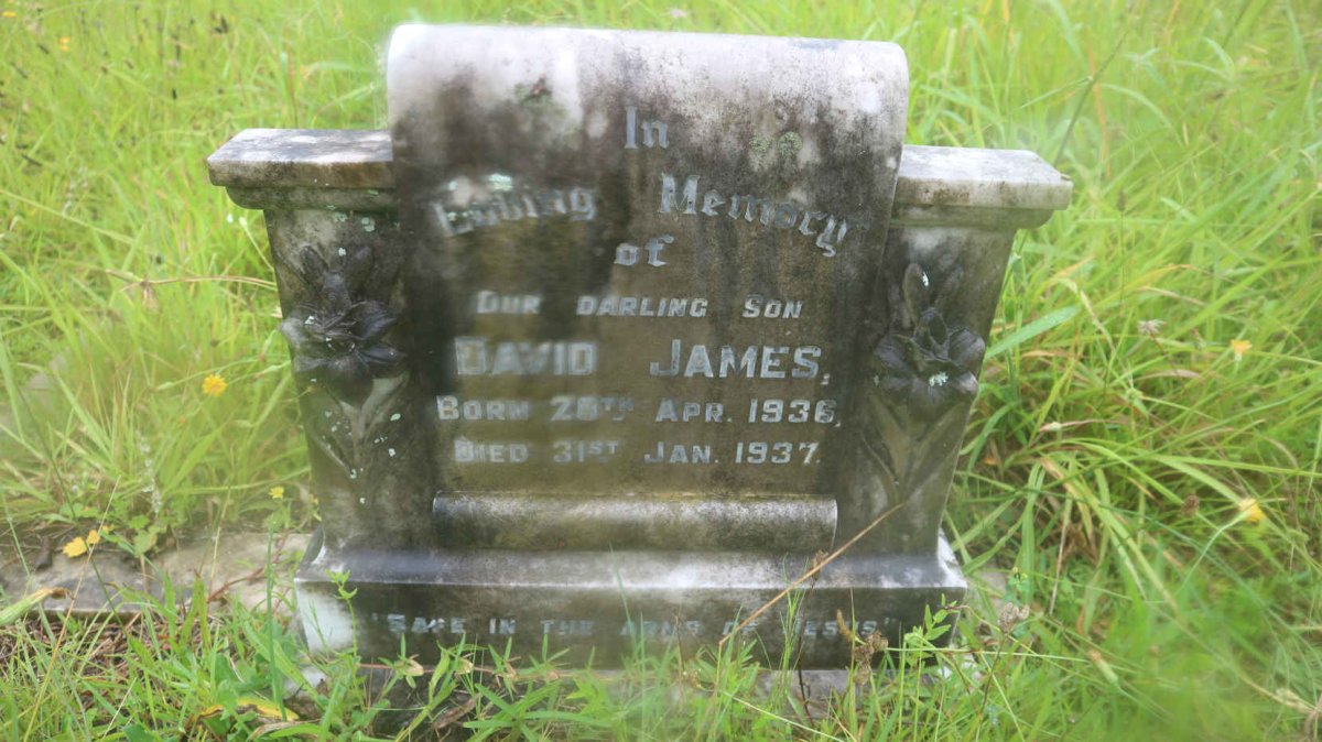 JAMES David 1936-1937