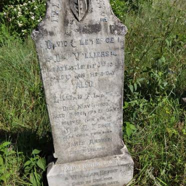 LEACH David Clemence de Villiers  -1894 :: LEACH Lillian Aileen -1900 :: LEACH James Andrew -1901 :: LEACH William Henry -1901