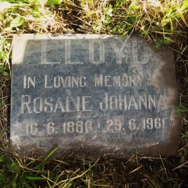 LLOYD Rosalie Johanna 1880-1961