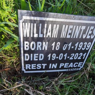 MEINTJES William 1939-2021