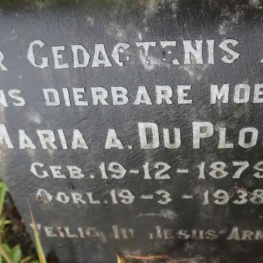 PLOOY Maria A., du 1879-1938