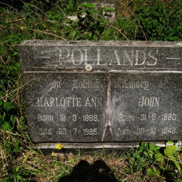 POLLANDS John 1860-1946 & Charlotte Ann 1869-1965