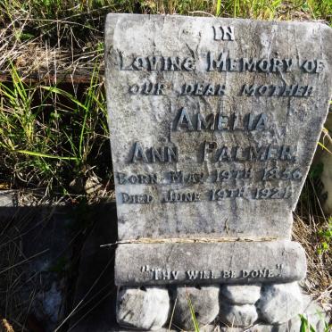 PALMER Amelia Ann 1856-1921
