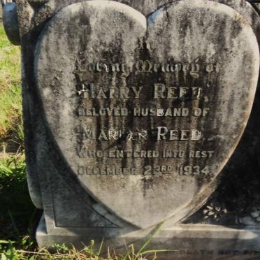 REED Harry -1934