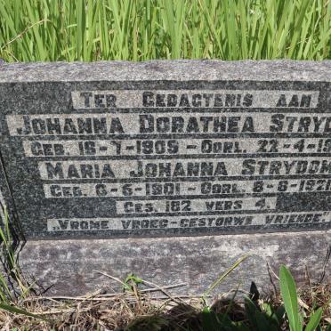 STRYDOM Maria Johanna 1901-1921 :: STRYDOM Johanna Dorathea 1909-1921