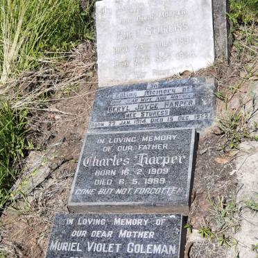 STURGISS Ruby 1890-1934 :: HARPER Beryl Joyce nee STURESS 1914-1952 :: HARPER Charles 1909-1989 :: COLEMAN Muriel Violet formerly BAUER nee HARPER 1906-1995